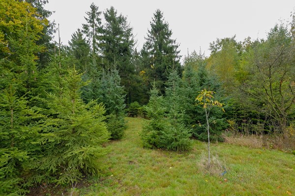 Medium property photo - Groningerstraat 12, 9481 AT Vries